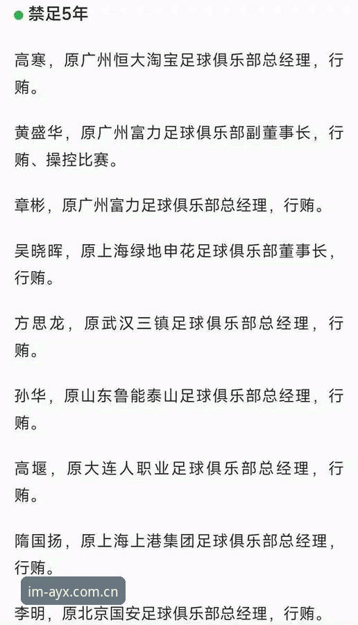 资深用户分享：从足协第三批禁足名单看中国足球的"手术刀"式整治历程